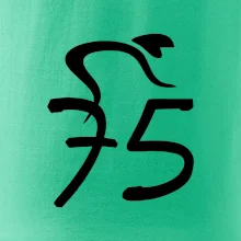 Cyklista oslavuje sedemdesiatpäťpäťky (75)