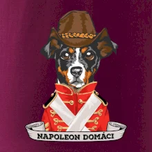 Napoleon domáci kríženec