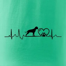 Nemecký boxer EKG