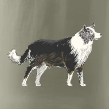 Border kólia kreslená