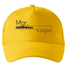 In progress titul Mgr. magister / magistra