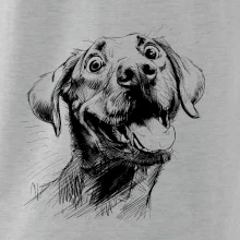 Čiernobiela karikatúra Labrador svetlý