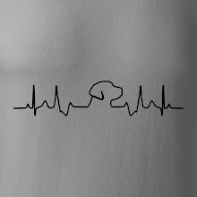Labradorský retriever‎ EKG