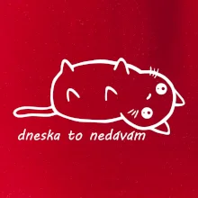 Dnes to nedávam