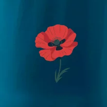 Vlčí mak kreslený veľký