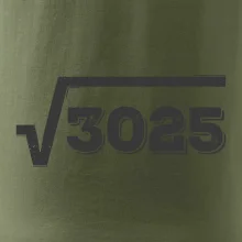 Narodeniny odmocniny 55