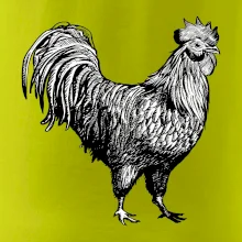 Kohút kreslený čiernobiely