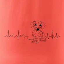 EKG krivka jazvečík