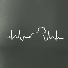 Stafordšírsky bulteriér ‎ EKG