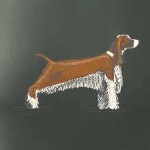 Vintage Springer spaniel