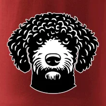 Lagotto romagnolo hlava na prsníku