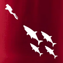 Potápač žraloky Potápač žraloky