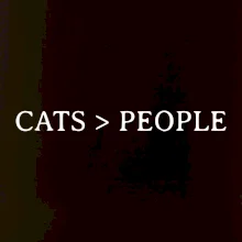 Cats > people