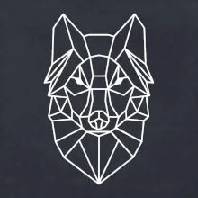 Geometria - vlk Geometria - vlk