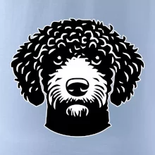 Lagotto romagnolo hlava na prsníku