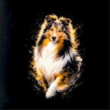 Obrázok poltón Šeltia