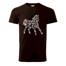 Geometria - kôň Geometria - kôň