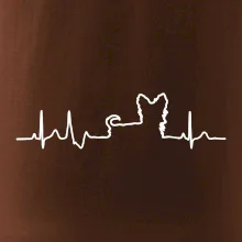 Yorkshirský teriér EKG