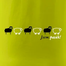Som pasák - ovce v rade