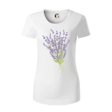 Levanduľa kreslená