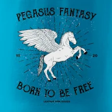 Pegasus fantasy Pegasus fantasy