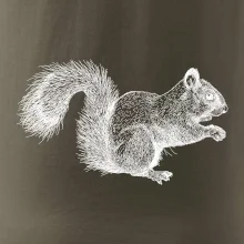 Veverička kresba