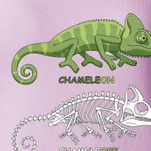 ChameleON_OFF (Hana-creative) ChameleON_OFF (Hana-creative)
