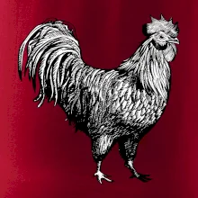 Kohút kreslený čiernobiely