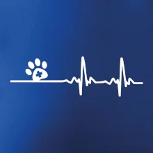 Veterinár EKG Veterinár EKG