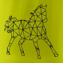Geometria - kôň Geometria - kôň