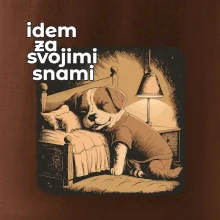 Idem za svojimi snami