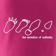 Evolution of authority