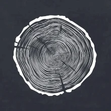 Letokruhy 85 bez veku