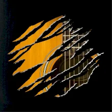 Roztrhnuté triko - gitara klasická Roztrhnuté triko - gitara klasická