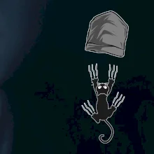 Mačka vypadla z vrecka