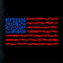 USA vlajka - zbrane USA vlajka - zbrane