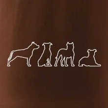 Americký stafordšírsky teriér v rôznych pozíciách