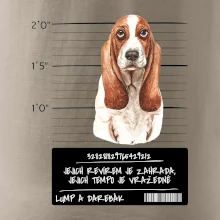 Baset - lump a darebák   Baset - lump a darebák