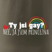 Gay princezna