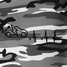 Ekg elektromobil Ekg elektromobil