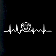 Ekg ovce Ekg ovce