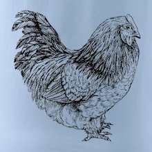 Sliepka čiernobiela