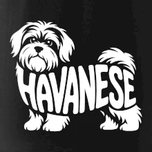 Havanese nápis v tele