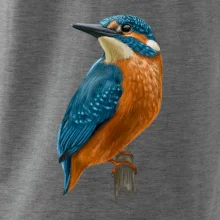 Ľadnáčik kreslený Ľadnáčik kreslený