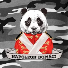 Napoleon domáci panda