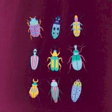 Farebné chrobáky (studio-arte.cz)