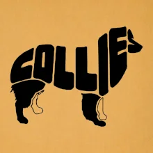 Border kólia písmo v tele