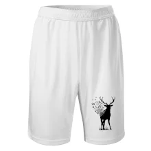 Deer Butterfly Deer Butterfly