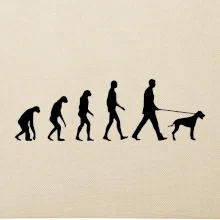 Evolúcia pes stavač