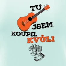 Když koupíš kytaru